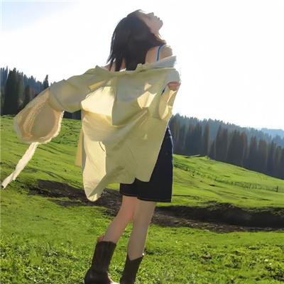 撒谎的侦探